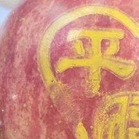林亚军
